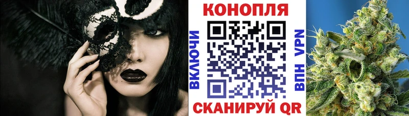 Купить закладки  Железногорск  Канабис SATIVA & INDICA